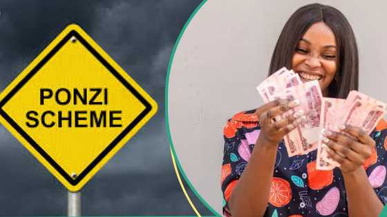 CBEX: Top 7 critical signs to spot a Ponzi scheme before you are scammed