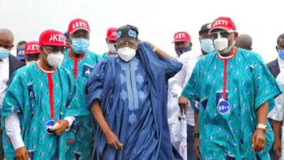 Ondo election: Tinubu finally breaks silence, reveals how he brought peace to APC