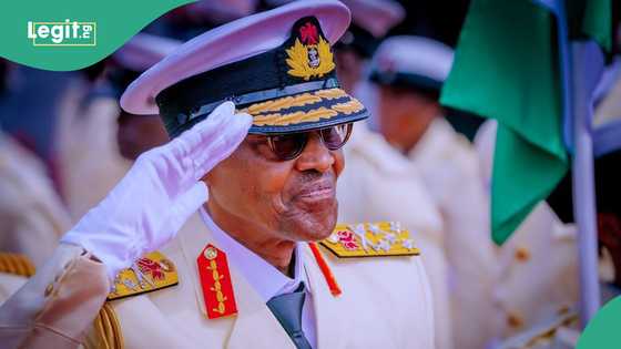 'Da yanzu an mutu,' Tsohon minista ya fadi gatan da Buhari ya yiwa 'yan Najerya