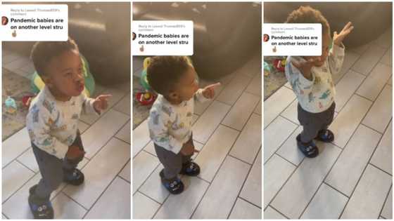 "Groove Guru': Little boy dance moves like adults, steals hearts in viral video