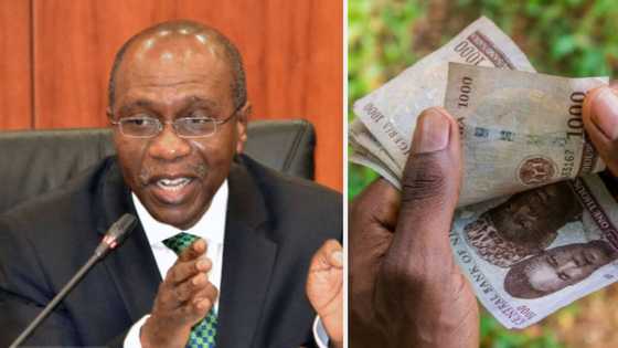 Naira redesign: CBN fires finance minister, says it gets approval from Buhari