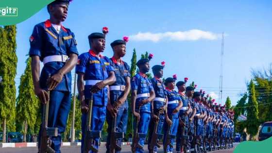 Just In: Panic as Civil Defence commandant slumps, dies during event