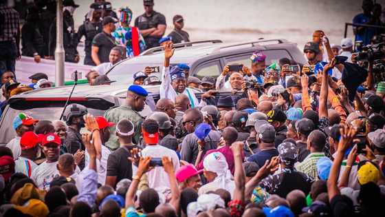 2023: Abin da ya sa Mu ka Tsaida Bola Tinubu a Jam’iyyar APC Inji Sanatan Arewa