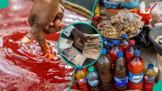 Palm oil price in Nigeria to get more expensive, reasons emerge