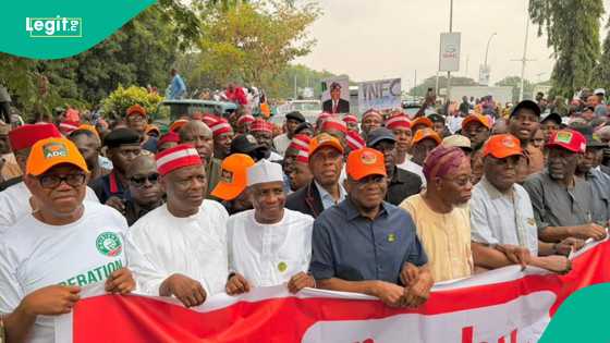NDC da ADC sun ce za su kifar da Bola Tinubu a 2027 ko babu hadaka