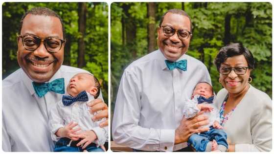 AfDB President Adesina shares photos of his cute grandson, their matching outfit is so adorable