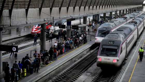 Spain starts probing causes of massive blackout