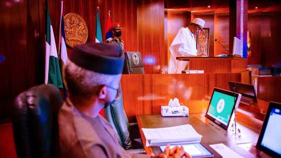 Why Yemi Osinbajo must not be elected by Nigerians, Lawyer gives reasons