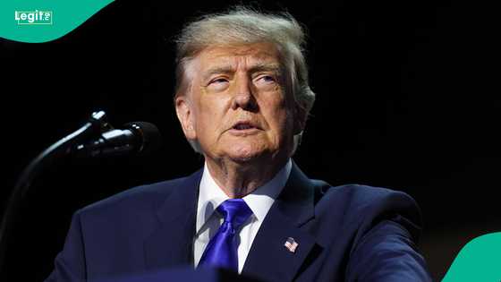 Green card eligibility 2026: 7 categories of abuse victims who qualify for US permanent residency