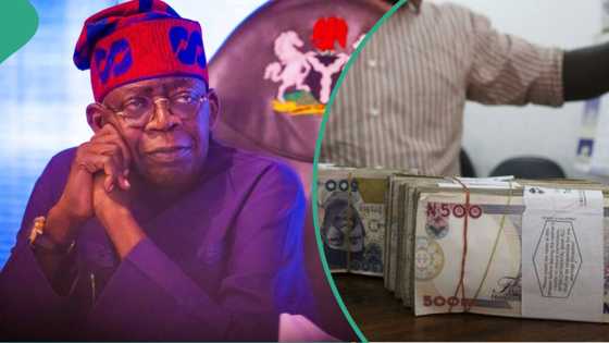 Naira among top three worst-performing currencies as report predicts direction in 2024