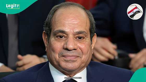 Egypt bans foreigners from bringing these 8 items into or out of the country