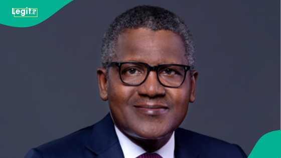 Dangote needs buyer for his private jet, details of specification shared