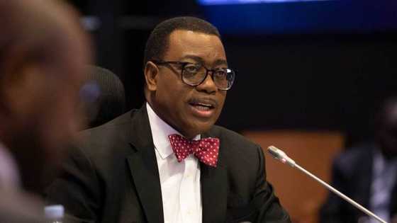 African development bank authorises independent probe of Akinwumi Adesina