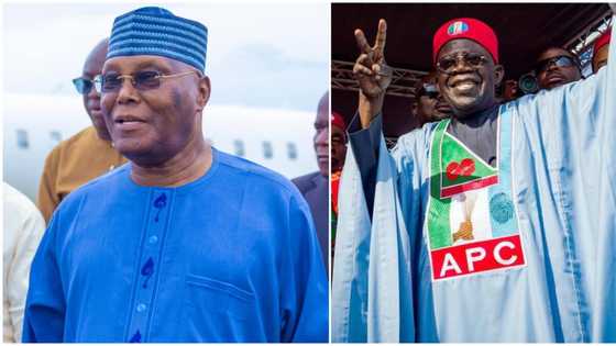 Tribunal: Atiku’s witness alleges APC, Tinubu agents truncated upload of election results to INEC server