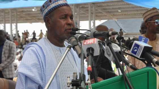 Katsina LG polls: APC dominates wins 31 LGAs, 328 councillorship seats