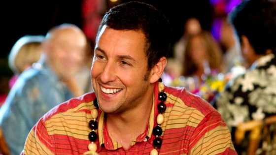 What are the sources of Adam Sandler net worth?