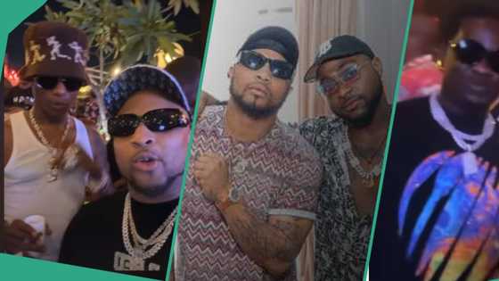 Video as Davido's cousin BRed chills with Wizkid & Wande Coal in nightclub: "Celebs to other celebs"