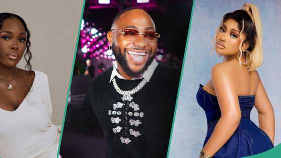 “You killed that role”: Davido praises BBNaija’s Vee shortly after saying he doesn’t know Phyna