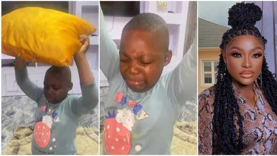 Strict mum: Lizzy Gold punishes son over multiple destructions, video trends, celebrities beg on his behalf