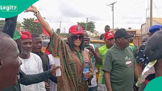 Breaking: House of Reps candidate allegedly abducted, PDP raises alarm