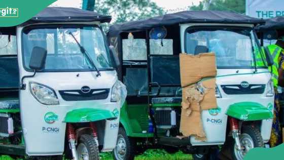 Lagos NURTW invests N10.2bn in 3,000 CNG tricycles to curb high transport cost