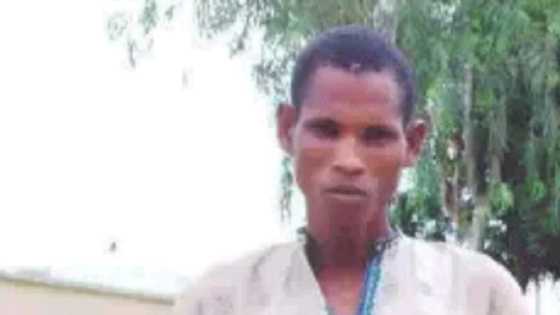 Makiyayin da aka yankewa hukuncin kisa ta hanyar rataya saboda datse kan ɗan cikinsa a Adamawa