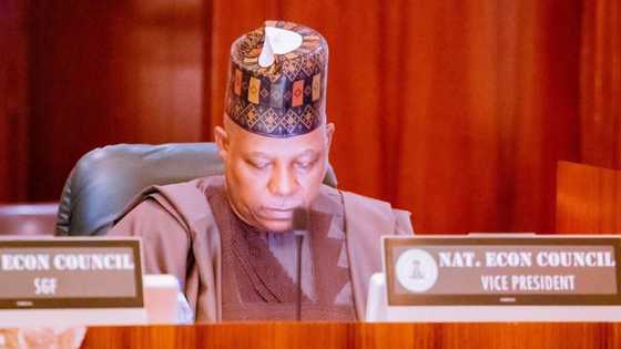 Karin Bayani: Shettima Ya Sa Labule da Bill Gates, Ɗangote da Wasu Gwamnoni a Villa, Bayanai Sun Fito
