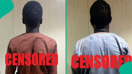 Manyan kwamandojin Boko Haram sun mika wuya, sojoji sun tatsi muhimman bayanai