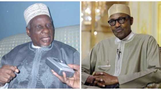 Why I didn't support Buhari's presidency, Yakasai finally opens up