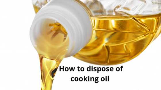 Top tips on how to dispose of cooking oil when you can no longer use it