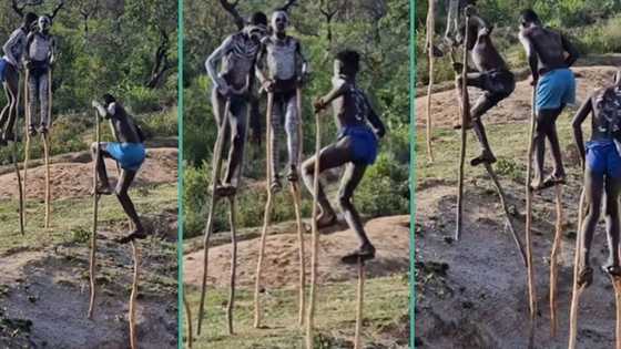 Video of young African boys walking with long sticks gets over 20 million views online, people react