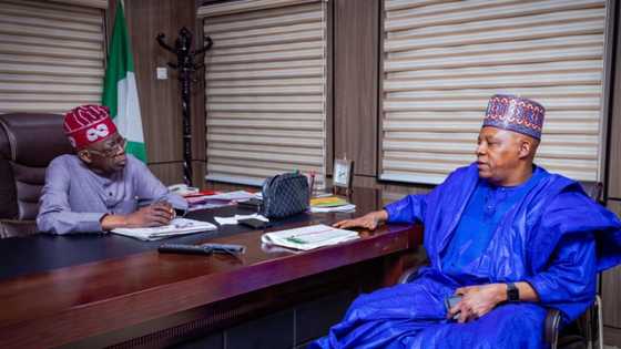 2023: Tinubu Ba Zai Samu Damar Sa Hannu Kan Wata Muhimmiyar Takarda ba