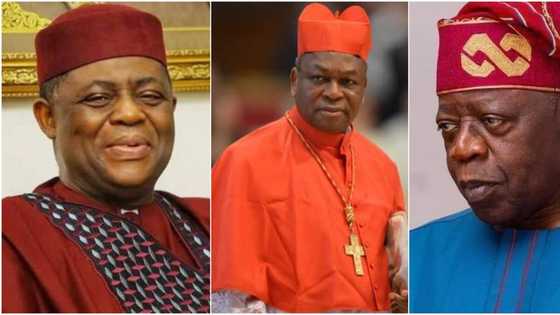 APC chieftain Fani-Kayode reveals identity of those against Tinubu's swearing-in