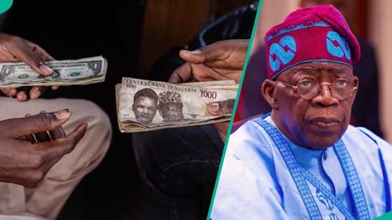 World Bank confirms Naira is no longer among Africa’s weakest currencies in new ranking
