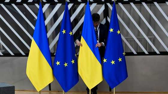 EU study slams big tech firms over Russian disinformation