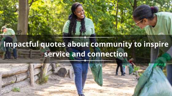 60 impactful quotes about community to inspire service and connection