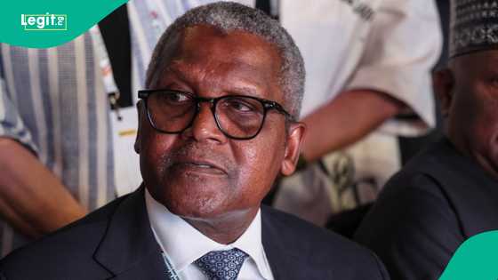 Dangote ya yi maganar samun yaron da zai gaje shi, ya fadi fatansa kan 'ya'yansa mata 3