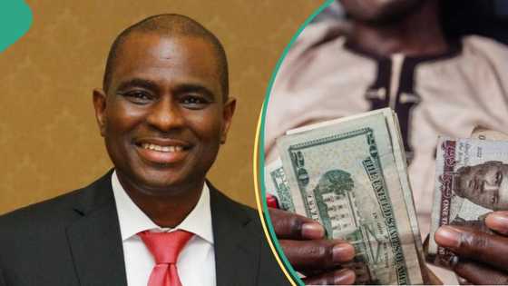 “There is light”: Airtel CEO speaks on Tinubu govt's economic policy