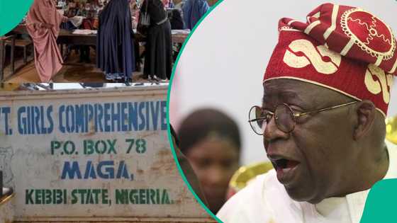 Kebbi abduction: Expert lists 4 strategies FG can use to rescue kidnapped schoolgirls