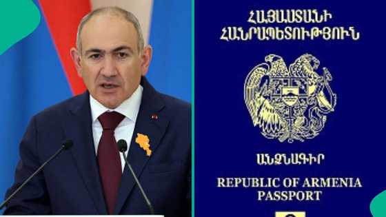 Armenia lists 3 categories of foreigners eligible for special residence passport valid for 10 years