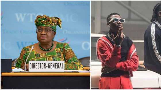 WTO DG Okonjo-Iweala applauds afrobeat superstars Wizkid, Burna Boy over Grammy win, 'exportable services'