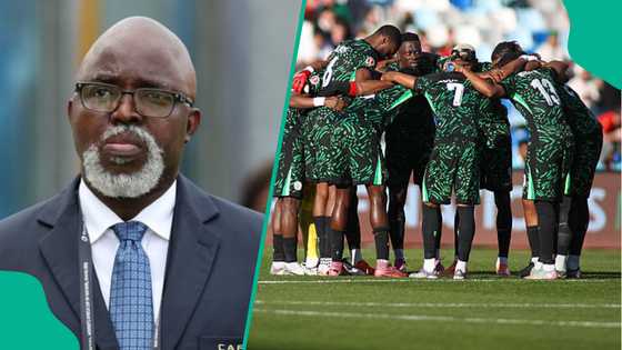 Amaju Pinnick speaks on Super Eagles salary crises, recommends action from NFF
