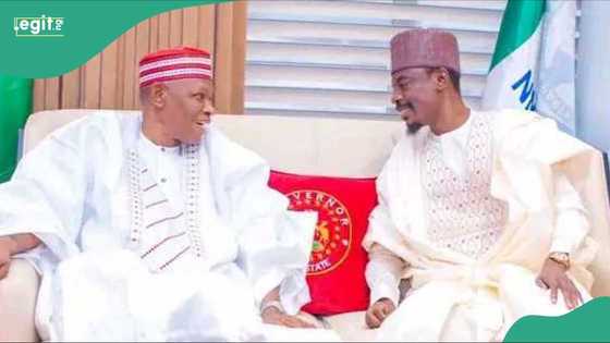 Tsohon hadimin Buhari ya soki yunkurin Ganduje a Kano, ya shawarci gwamnati