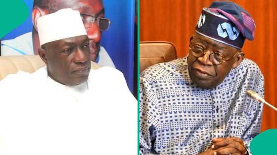 Ahmed Makarfi: Tsohon gwamnan Kaduna ya samo mafita ga Tinubu kan rashin tsaro