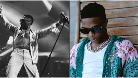 Watching Machala show from O2: Fans react as Wizkid Shutdown Dubai, delivers energetic performance with Tyga