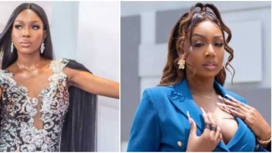 BBNaija Lockdown reunion: You're desperate - Tolani Baj throws pillow at Vee as they fight dirty