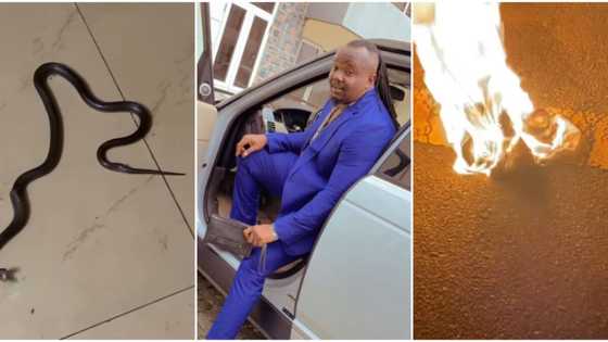 Bidiyo: Jarumin Fina-Finan Najeriya Ya Ci Karo Da Ƙaton Baƙin Maciji A Ɗakinsa Da Tsakar Dare, Ya Zargi Maƙiya