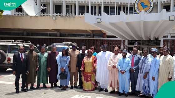 Yobe local government chairman dies in Egypt, key details emerge