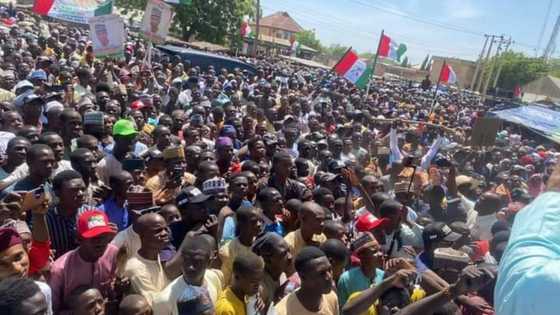 Atiku da Danmarke Sun Kwashewa Tinubu da Kwankwaso Mabiya 13, 000 a Katsina
