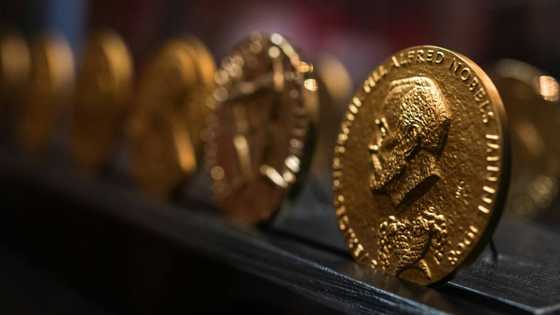 Bestseller or dark horse for 2022 Nobel Literature Prize?